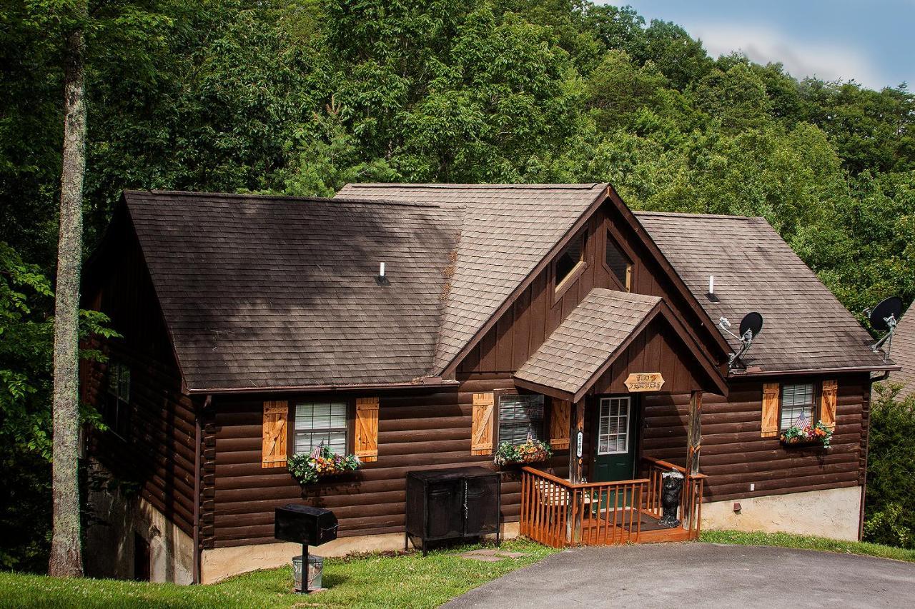 Idyllic Cabin With Hot Tub Less Than 2 Mi To Dollywood! Сев'єрвілл Екстер'єр фото
